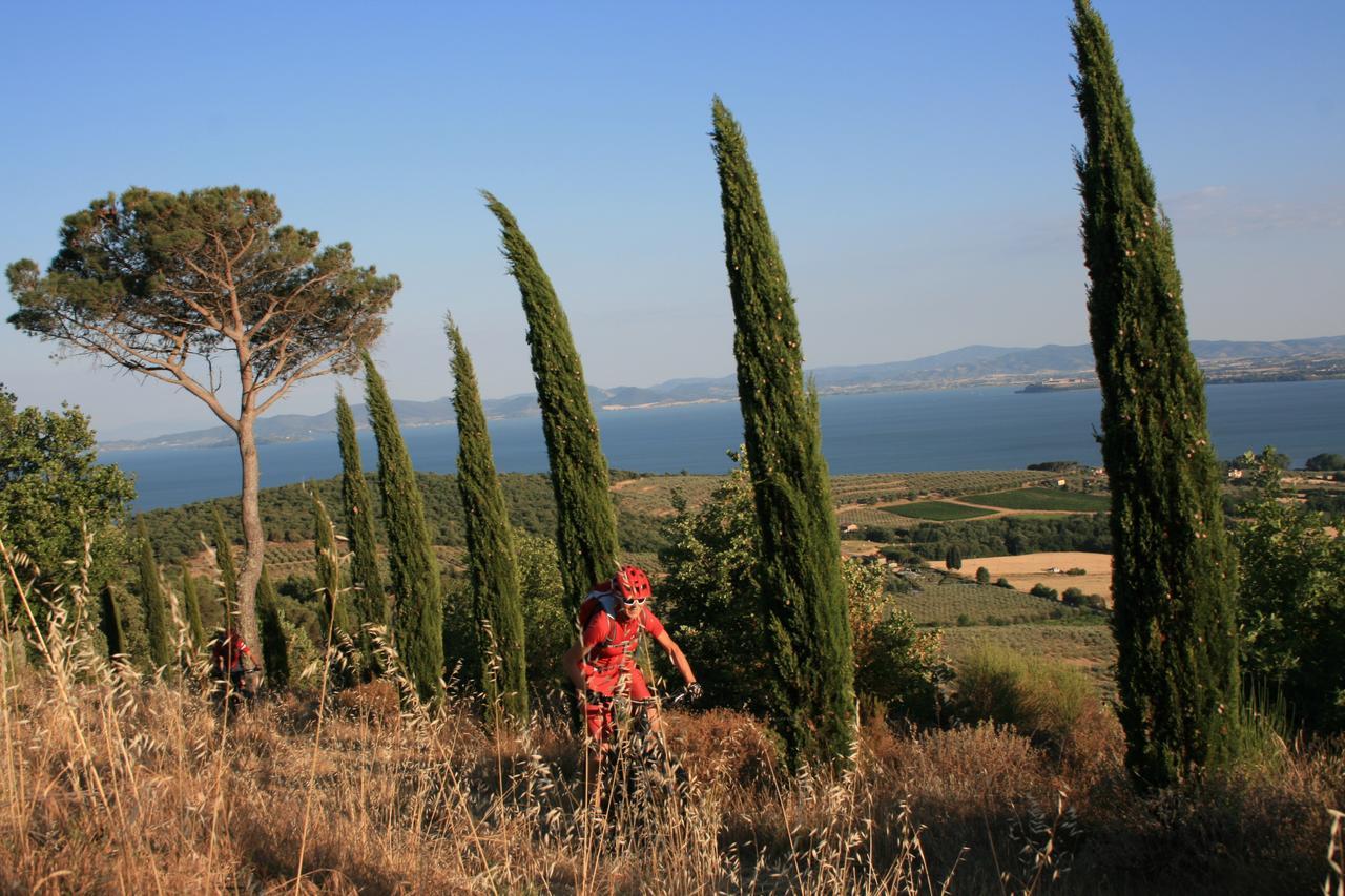 Countryhouse Villa Rey Panicale Εξωτερικό φωτογραφία